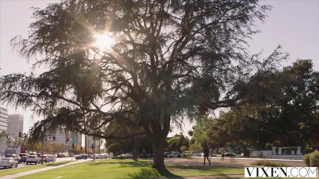 VIXEN Lana Rhoades Has Sex With Her Boss - 1