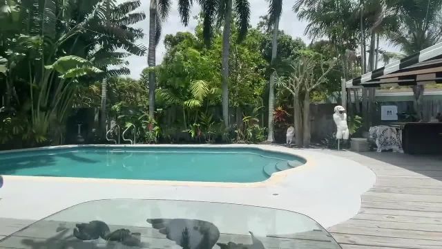 Perfect Body Brunette Teen Miami Sex - Josie Tucker - Alex Adams - 1